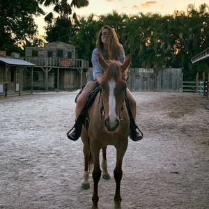 Meet your Posher, Sam